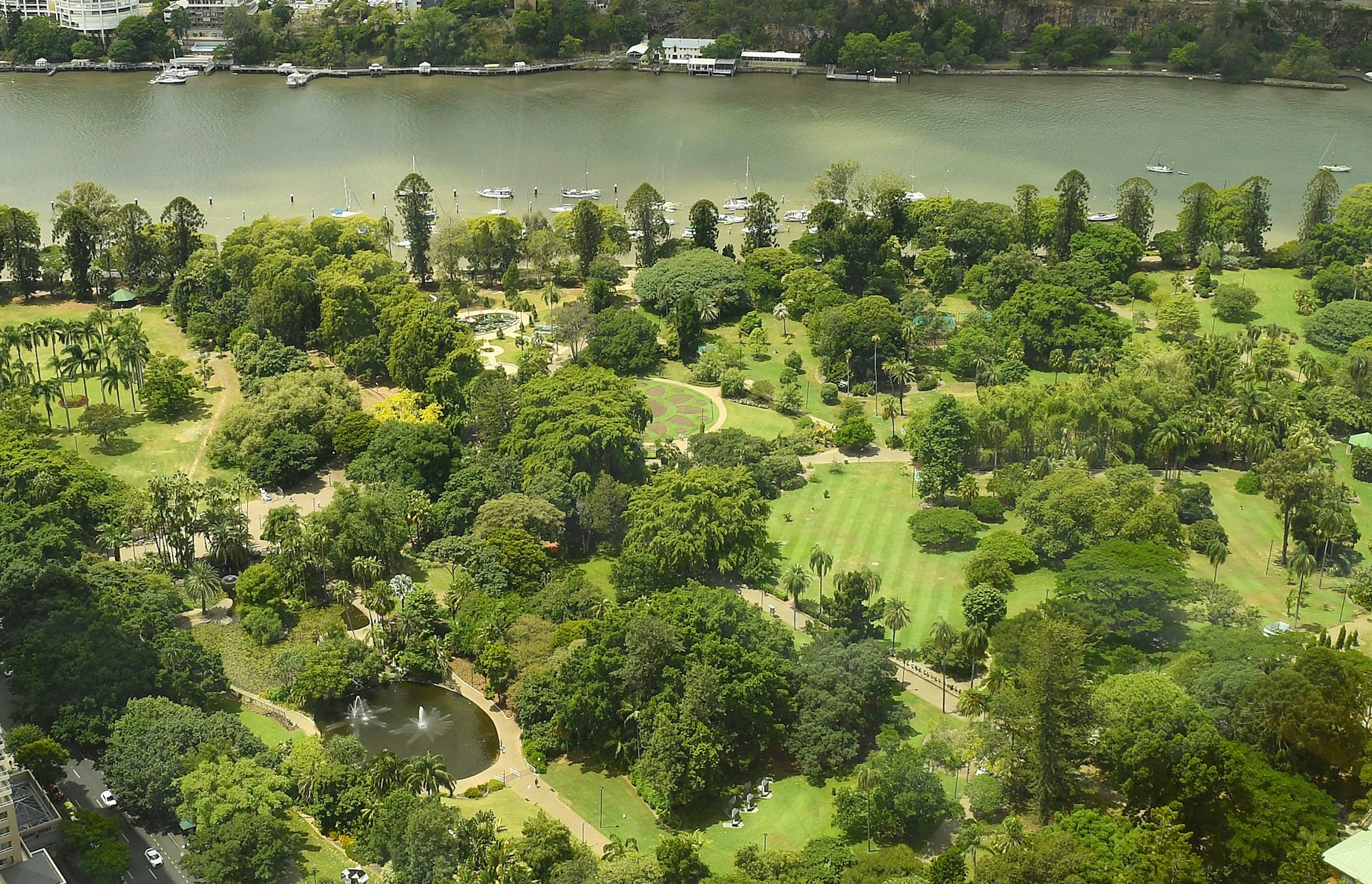 trees and parkland beside river