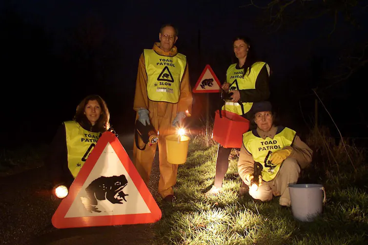 Four people in high-vis vests carrying torches and buckets next to a road sign displaying a toad.