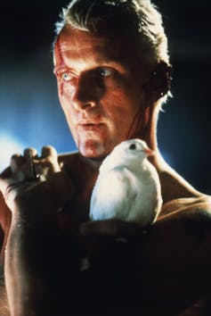 Ecophobia, world warming and these days: The literature additionally took care of time 1 The naked man hugged a white dovel.