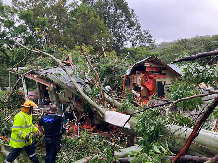 People look on as a tree lies atop a smashed home in the wake of Alfred.
