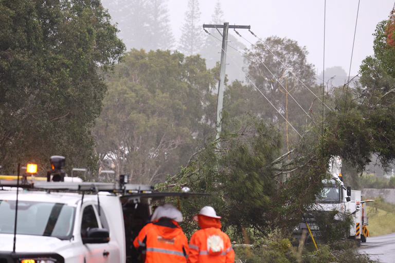 Workers survey damaged powerlines after Alfred.