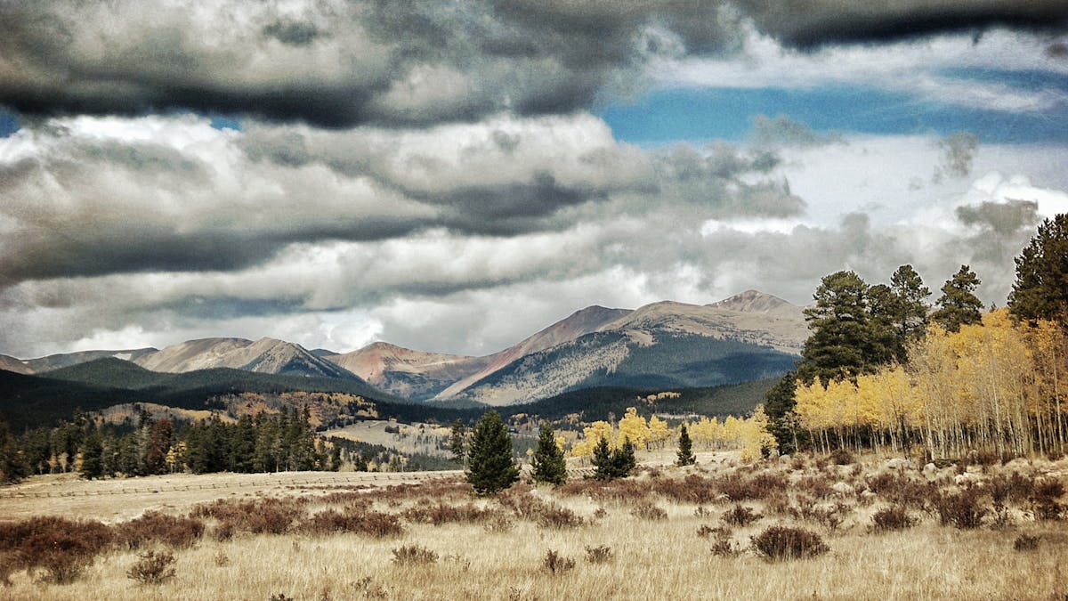 Long Read The Ideology Of Nature In Butcher S Crossing