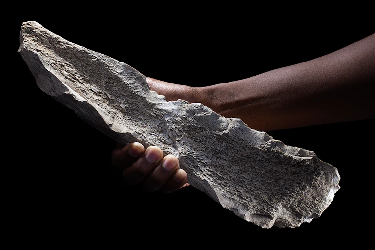 Hand holding a large piece of bone with flaked edges