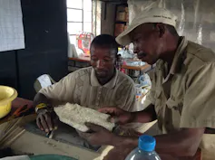 Two men handling a bone object on a table