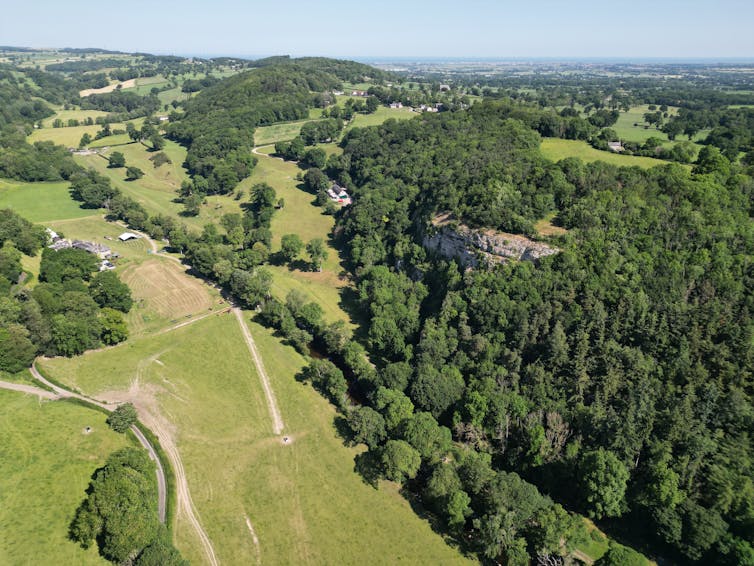 A large expanse of woodland shot from the sky.