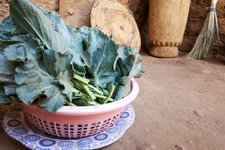 Some green leaves are seen in a pot.