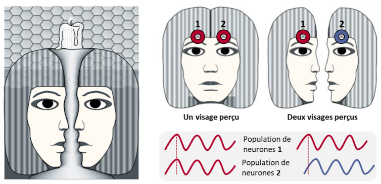 Lorsqu’on regarde cette image, on peut alterner entre la perception d’un unique visage (caché derrière le chandelier) ou de deux visages qui se font face. Deux populations de neurones traitant deux parties de l’image (matérialisés par deux cercles) se syn