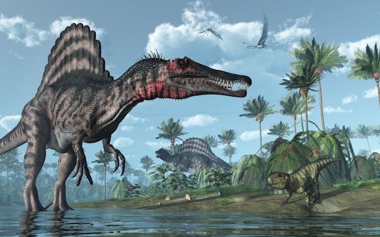 Artist's impression of a _Spinosaurus_ dinosaur walking through water with palms and sky in background