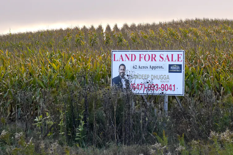 En venta en el campo