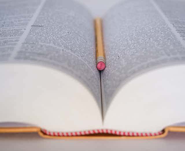 Es la palabra 'medioambiente' una mala traducción?