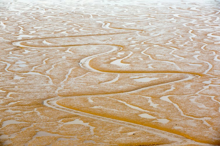 An aerial view of coastal mud flats.