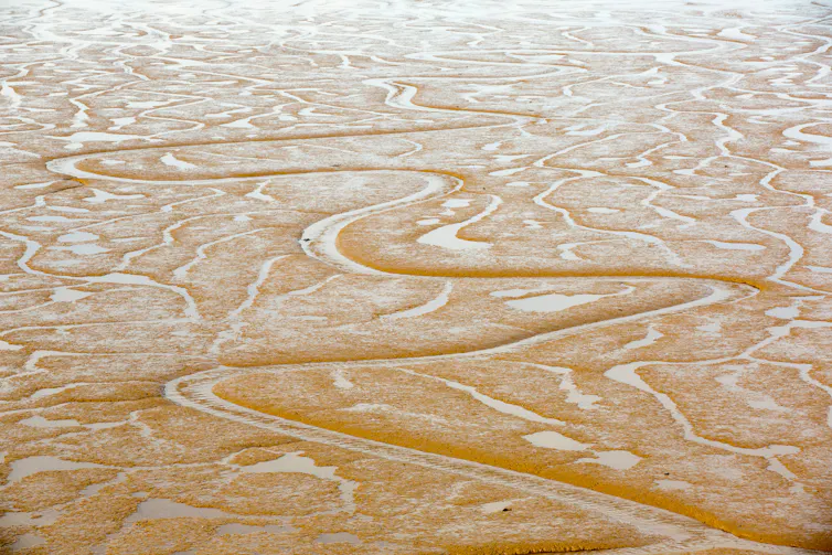 An aerial view of coastal mud flats.