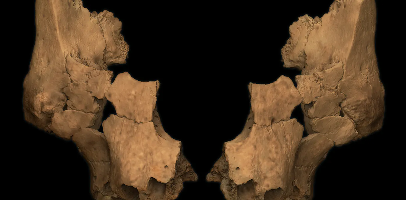 Atapuerca descubre el rostro humano más antiguo de Europa occidental