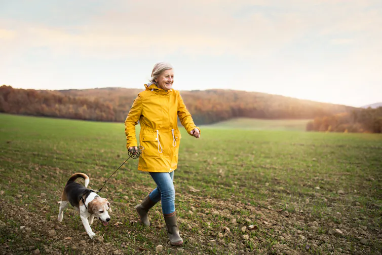Une femme âgée tient un chien en laisse et marche dans un champ