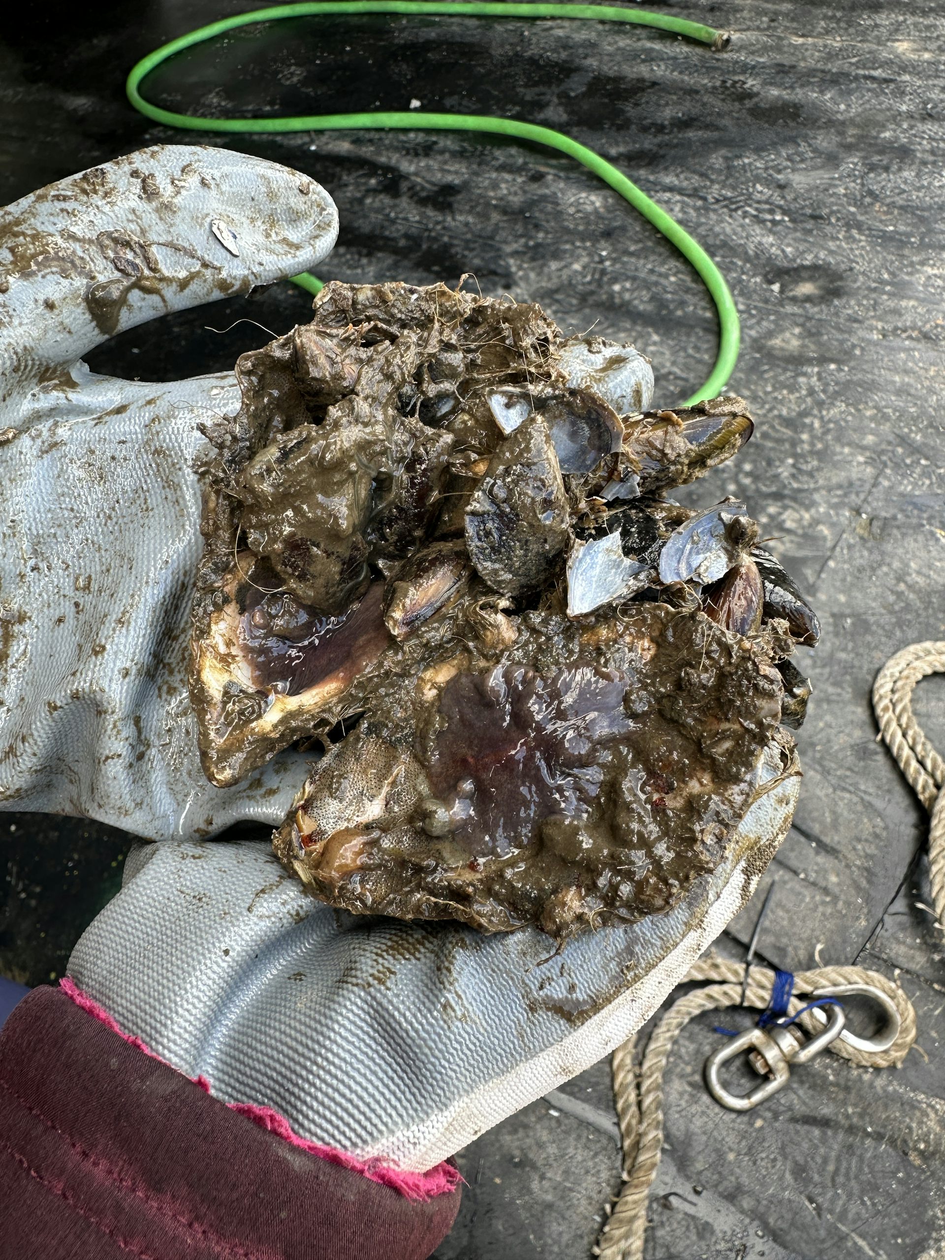 file 20250313 56 fmjhva.JPG?ixlib=rb 4.1