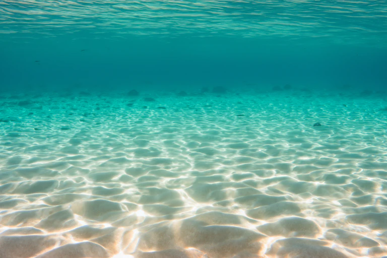 shallow sandy seas