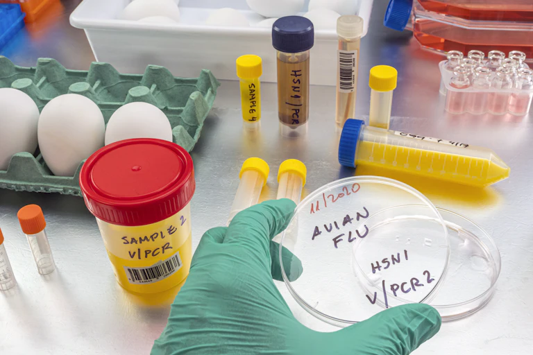 a green glove holds a plastic petri dish labeled AVIAN FLU