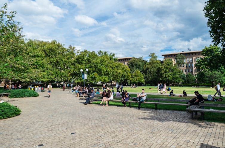A wide shot of a university courtyard with students sitting.