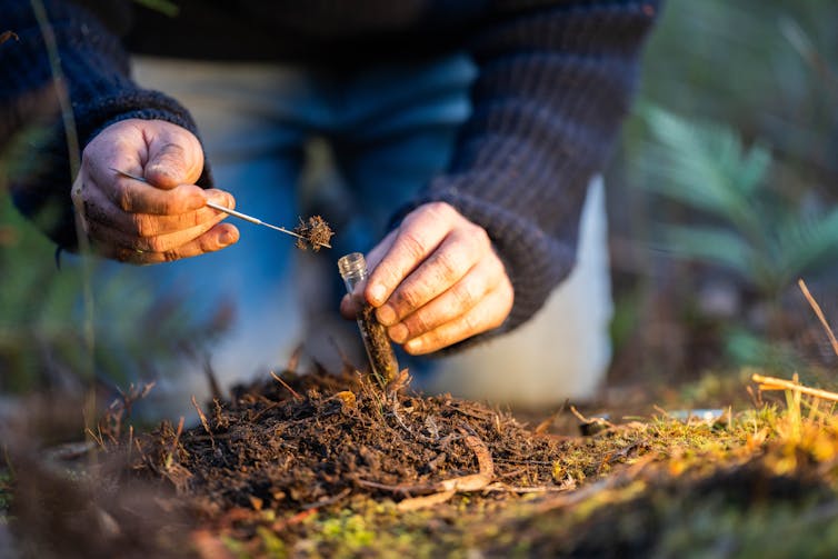 man takes soil sample