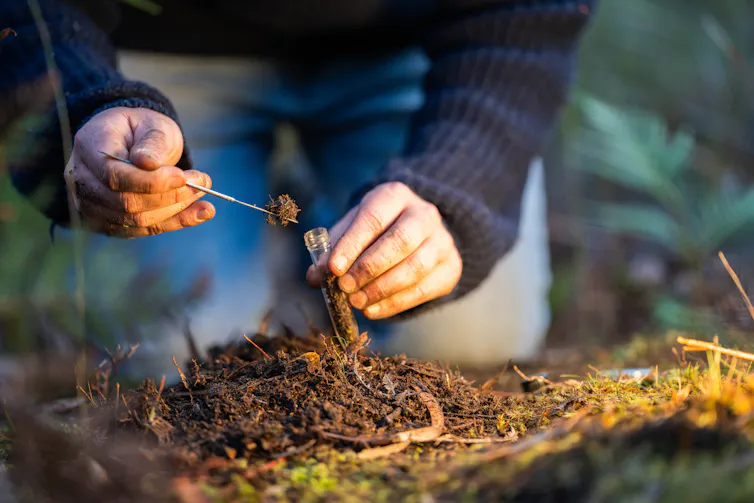 man takes soil sample