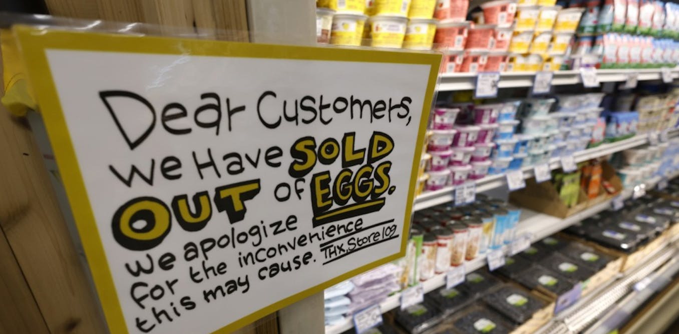 Why Americans care so much about egg prices – and how this issue got so political