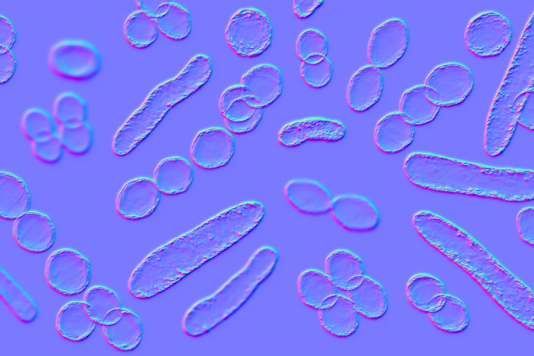 Illustration of cocci and rod-shaped bacteria, embossed against a liliac background