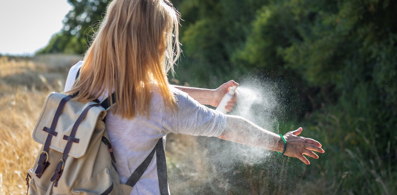 Japanese encephalitis has claimed a second life in NSW and been detected in Brisbane. What is it? - The Conversation