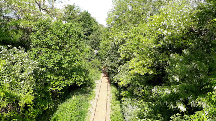 La Petite ceinture, une ancienne ligne de chemin de fer à double voie de 32 kilomètres de longueur encerclant Paris