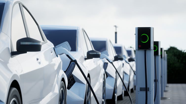 A line of white vehicles plugged into charging stations
