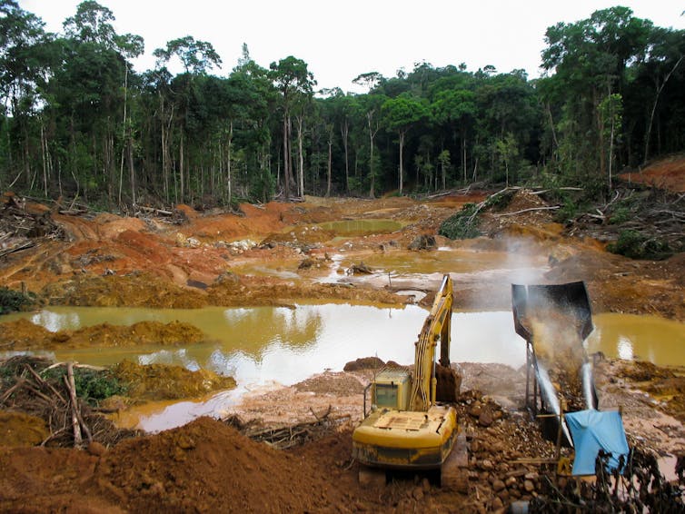Two large machines dig for gold in the Amazon rain forest next to a large basin of water.