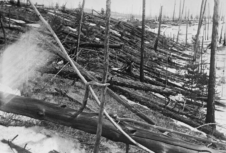 a black-and-white photo of a damaged forest