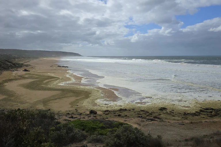 Waitpinga beach covered in sea foam and green residue