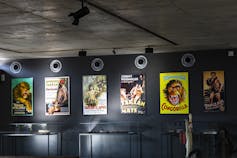 A row of old movie posters featuring Tarzan, a white man who lives in the jungles of Africa.