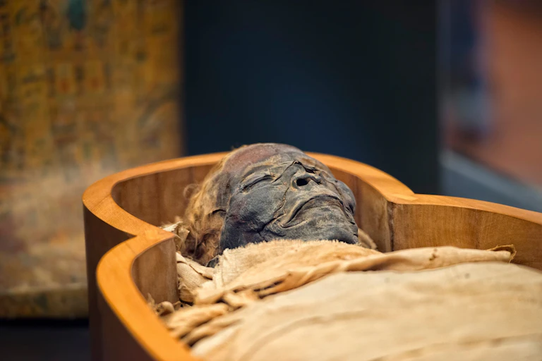 A mummified Egyptian corpse.