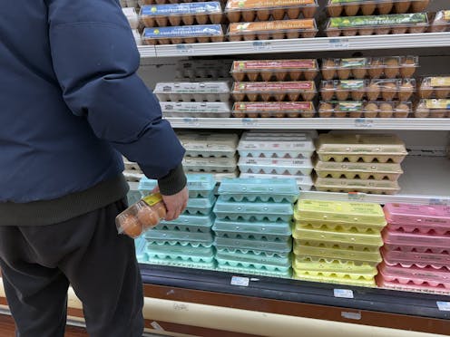 Egg prices soar as outdated supply chains crack under pressure