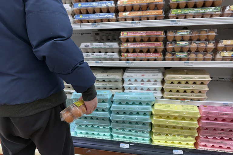 Person photographed from behind holding package of dozen eggs while standing in front of refrigerator case full of eggs at grocery store