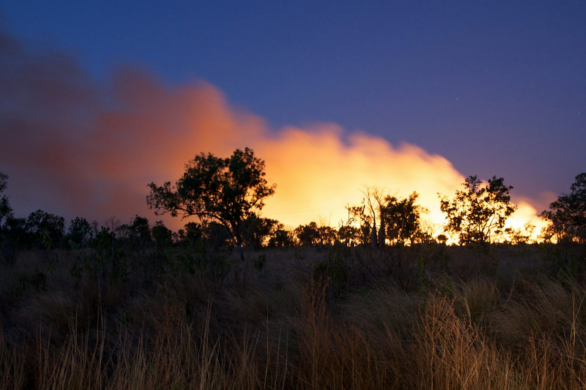 How Aboriginal Burning Changed Australia’s Climate