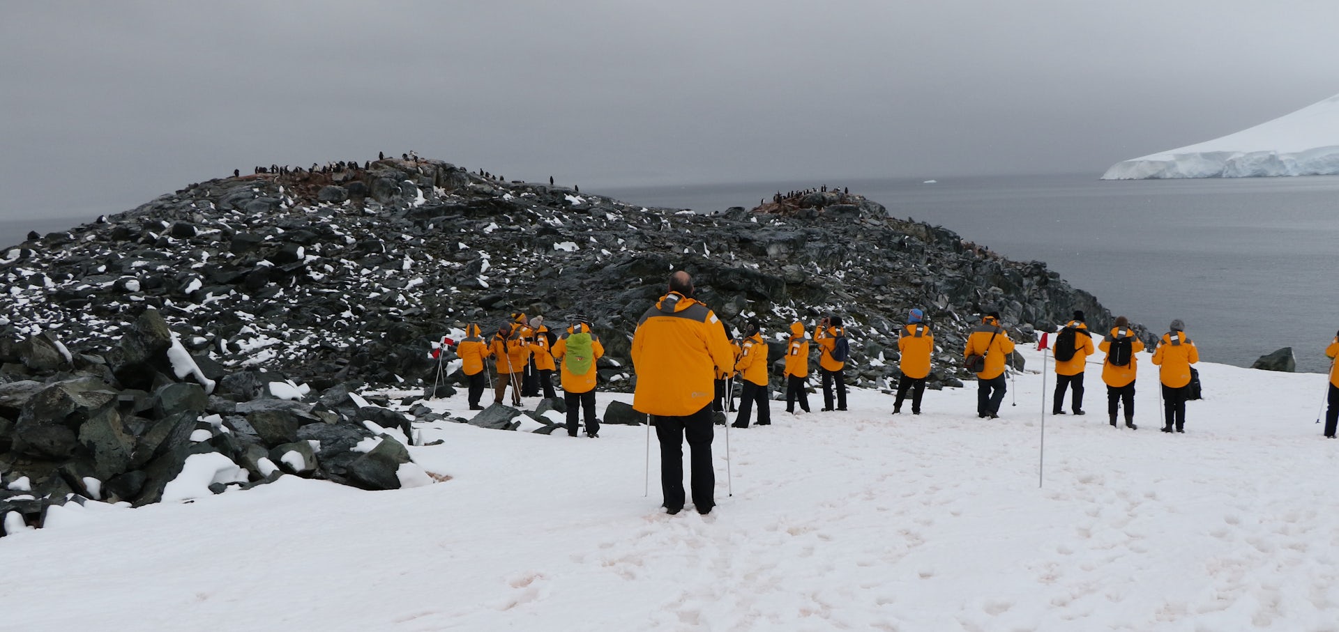 Biosecurity policies can be annoying – but a century of Antarctic data shows they work  