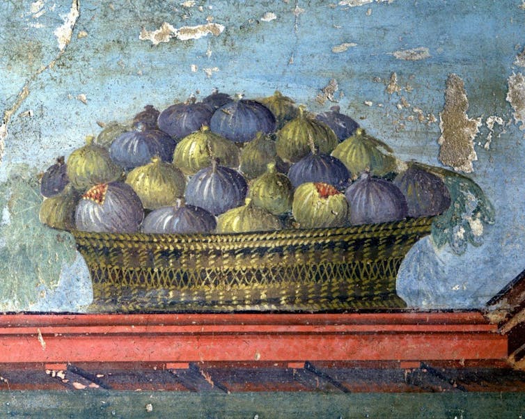 Roman fresco of a basket of green and purple figs.