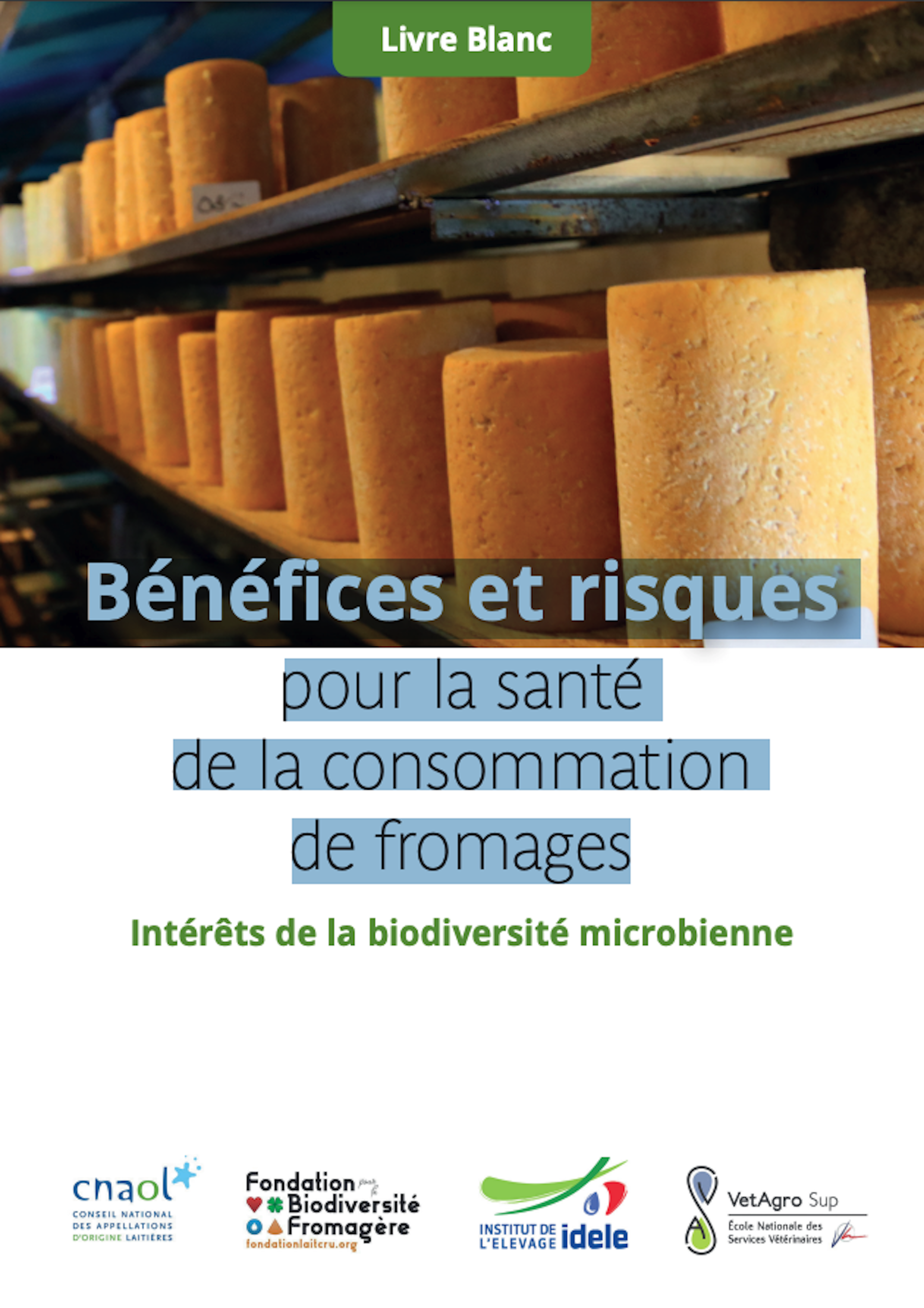 file 20250319 62 x7lv85.png?ixlib=rb 4.1