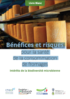 Rising up on a farm is just right for microbiotes and it might offer protection to and hypersensitive reactions 1 file 20250319 62 x7lv85.png?ixlib=rb 4.1