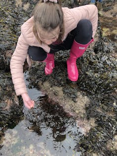 girl in pink jacket looking at seaweed on rocky shore