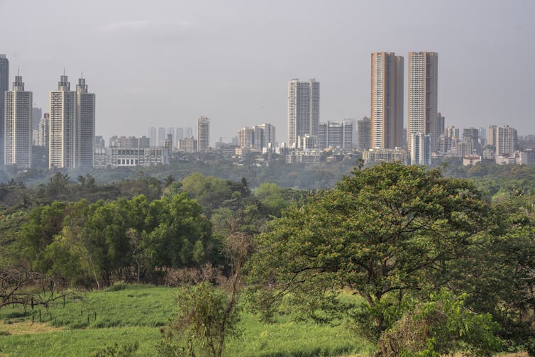 A city skyline seen in the distance behind a grassy park with trees
