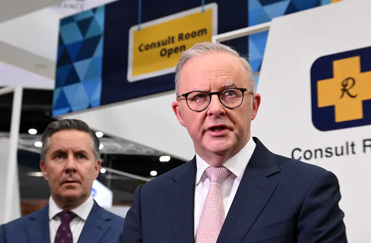 Anthony Albanese and Mark Butler