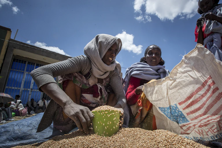A woman scoops up wheat from a big pile with a U.S. flag-emblazoned bag in the foreground.