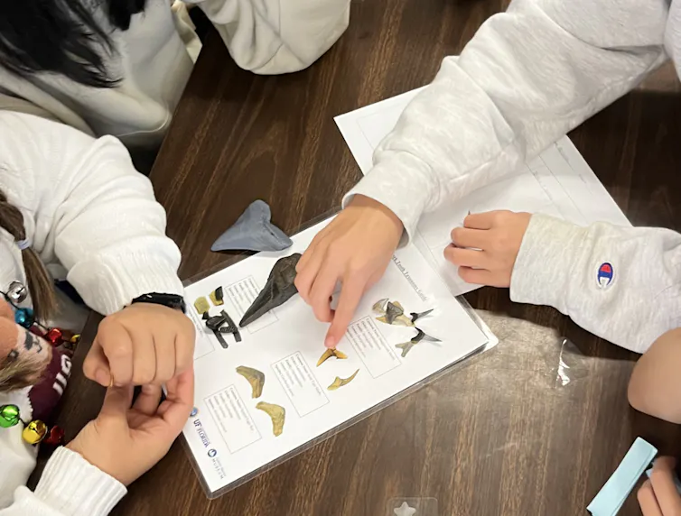 Students huddle around and point to a shark tooth illustration during a Shark AI lesson.