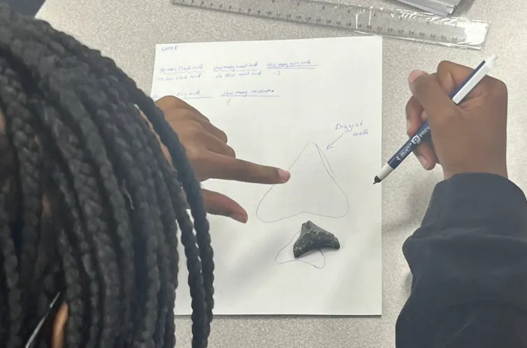 A student traces around a shark's tooth with a pen and writing other notes on a paper.