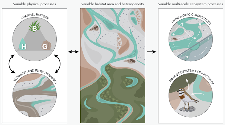 A diagram showing the main types of ecological variability occurring in a free-flowing river: physical variability, habitat heterogeneity and variable ecosystem processes.