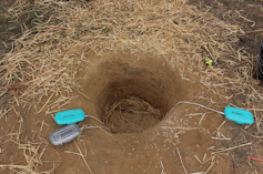 Retailer the grain via eating much less power: What if the previous set the longer term? 1 file 20250321 56 s4y91m.png?ixlib=rb 4.1