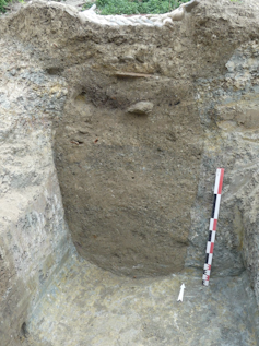 Retailer the grain via eating much less power: What if the previous set the longer term? 2 file 20250321 56 v3homn.png?ixlib=rb 4.1